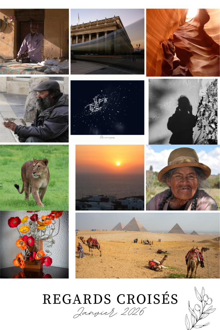 Atelier photo à Cestas