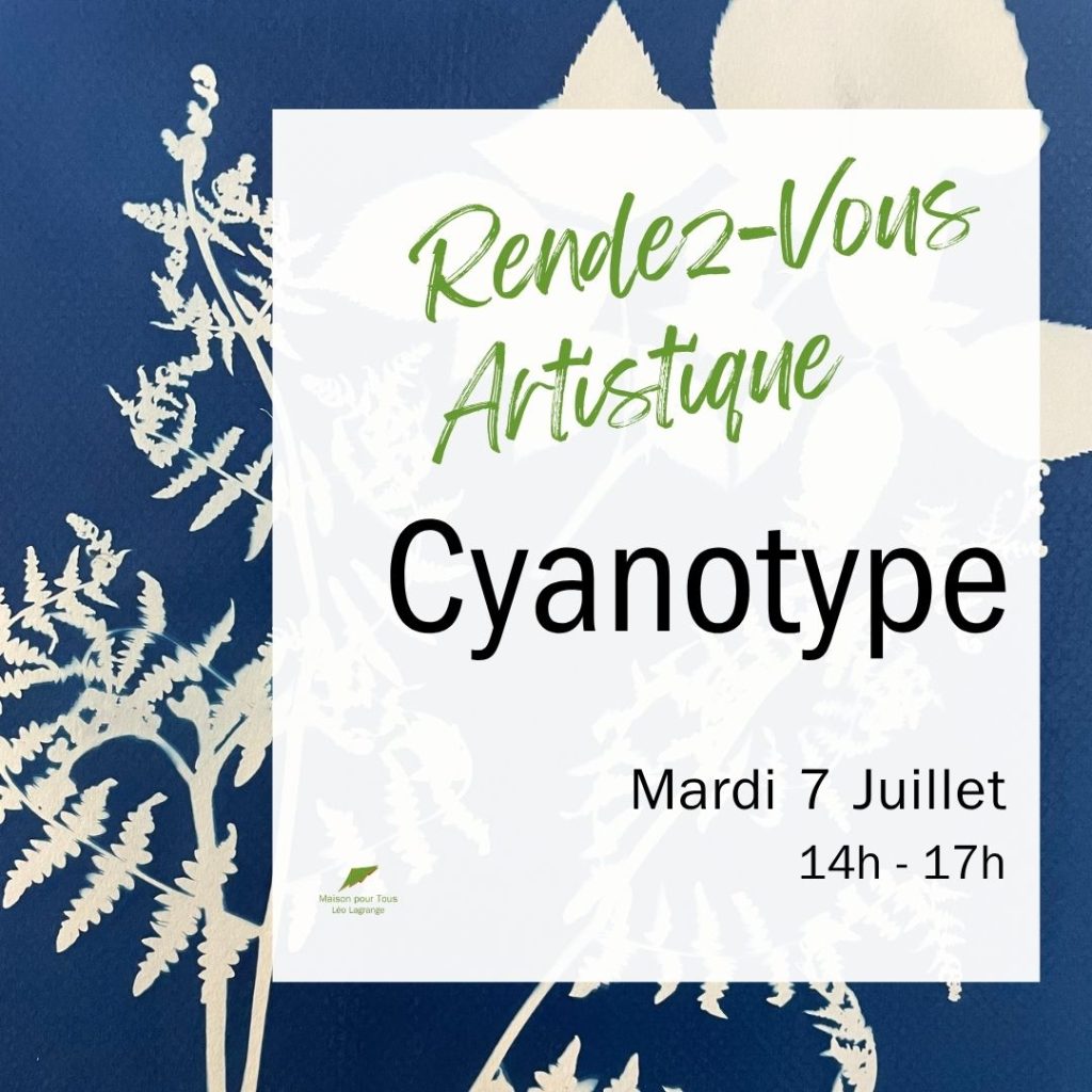 Stage Cyanotype à Cestas