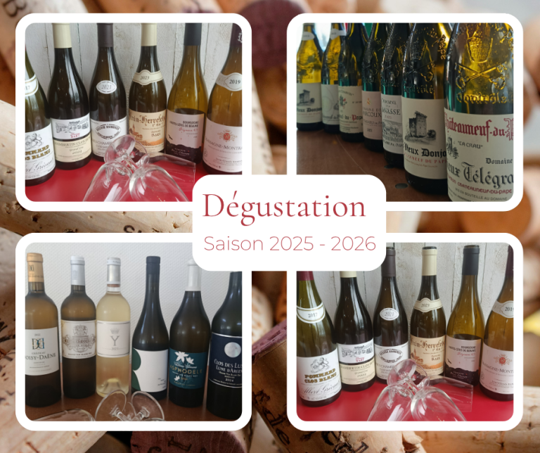 Vin Dégustation 2025 2026