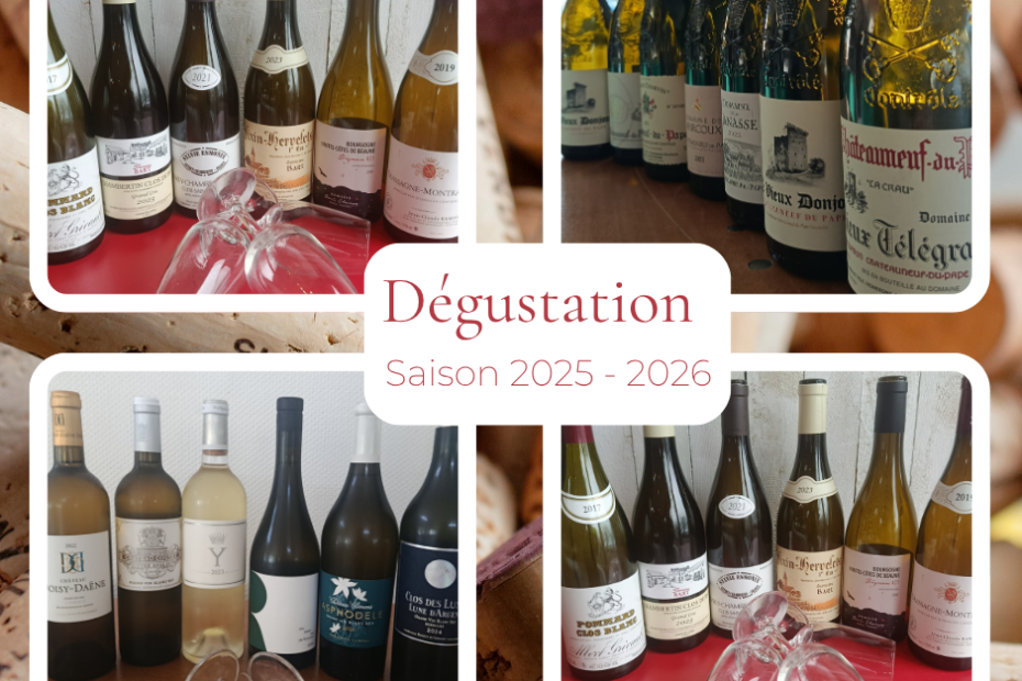 Vin Dégustation 2025 2026